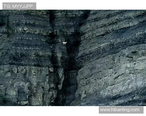 专访攀岩高手张磊揭秘他成功背后的心路历程与训练秘诀